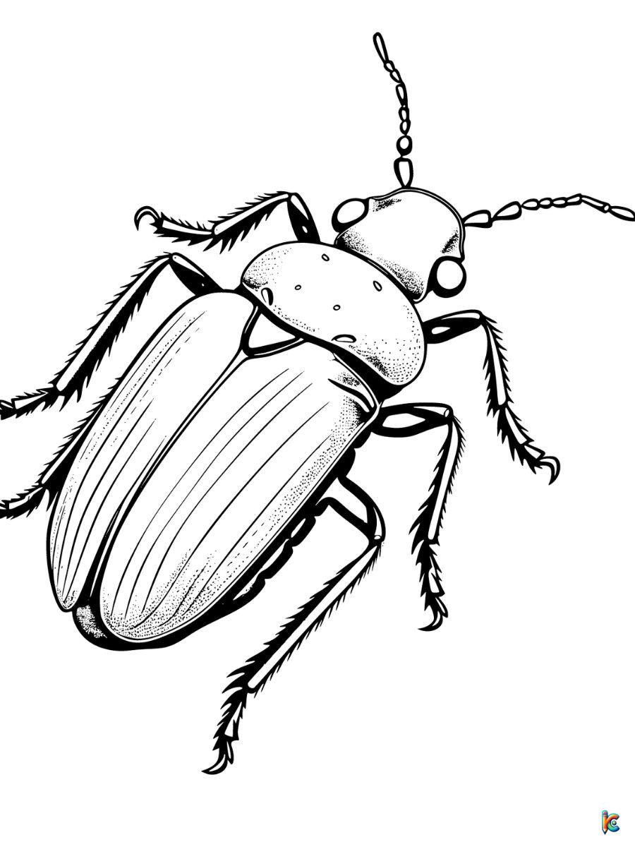bug realistic coloring page