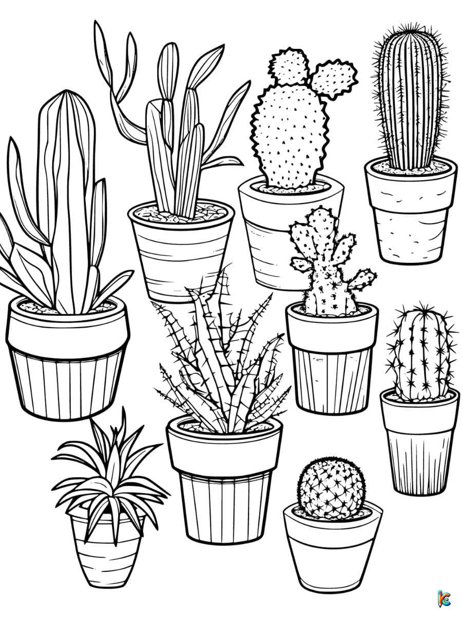 cactus coloring pages for adults