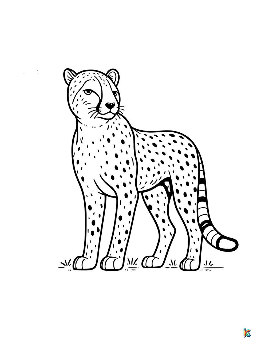cheetah coloring pages free
