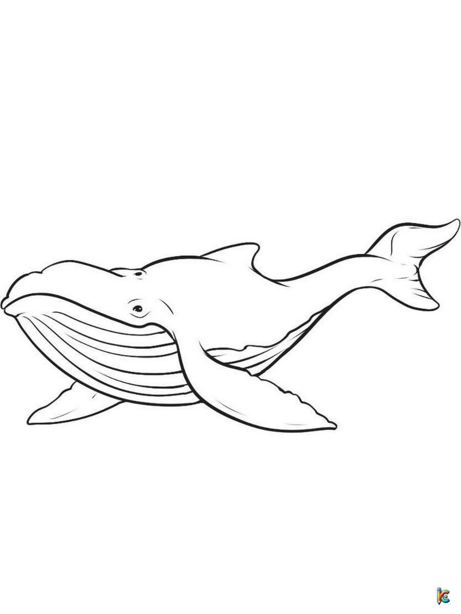 coloring page of a whale