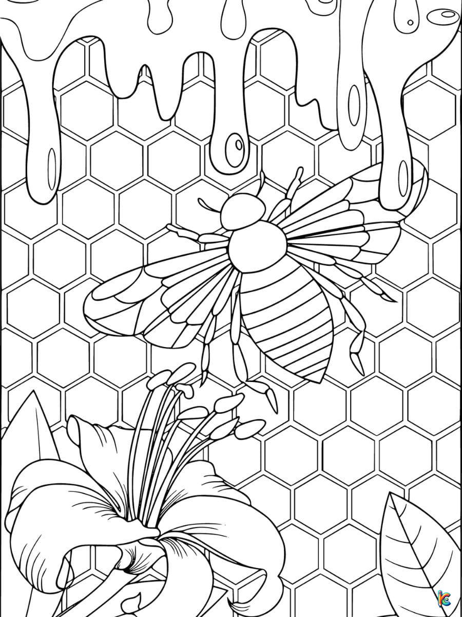 free honey bee coloring pages