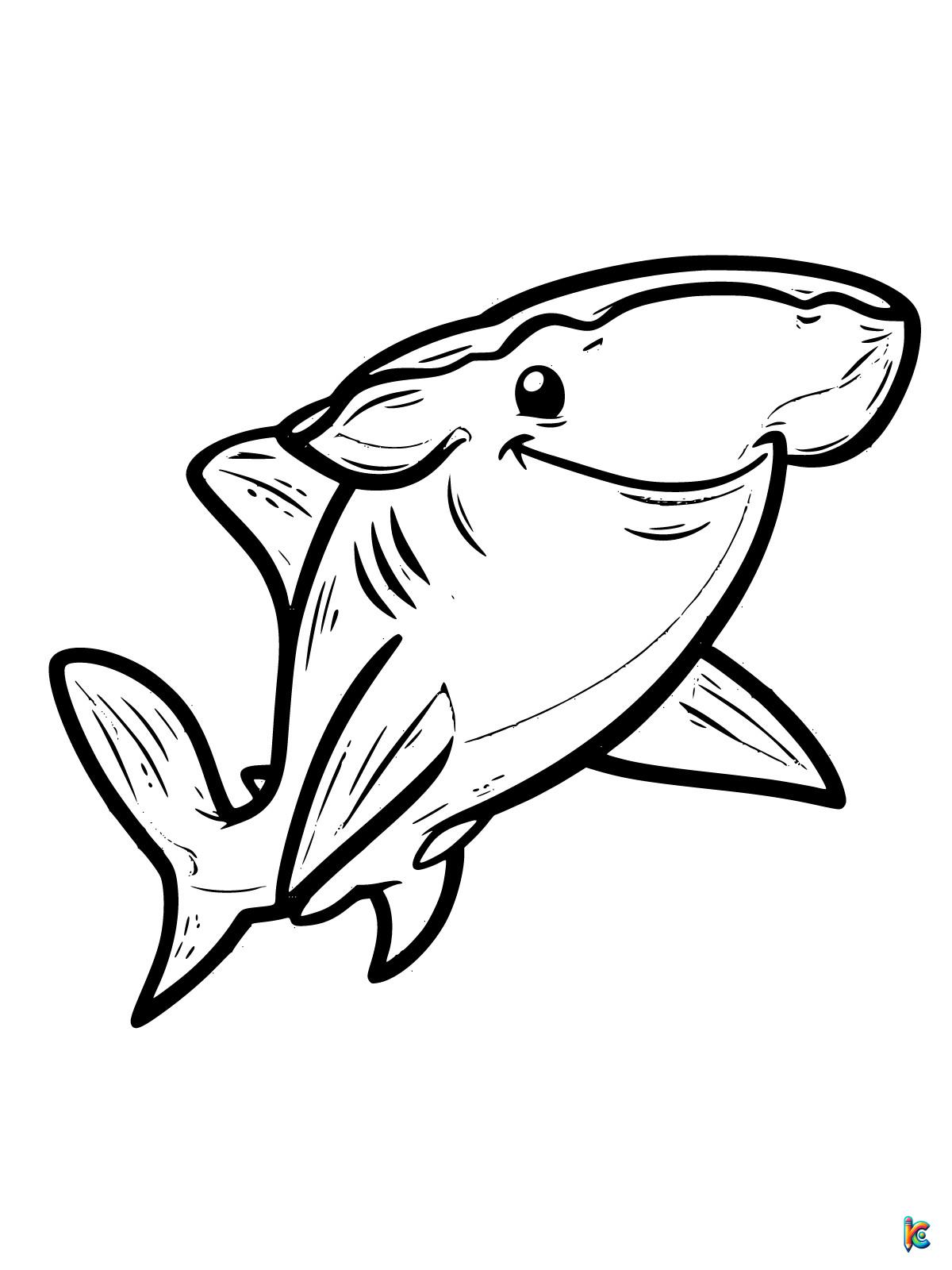 hammerhead shark coloring pages printable