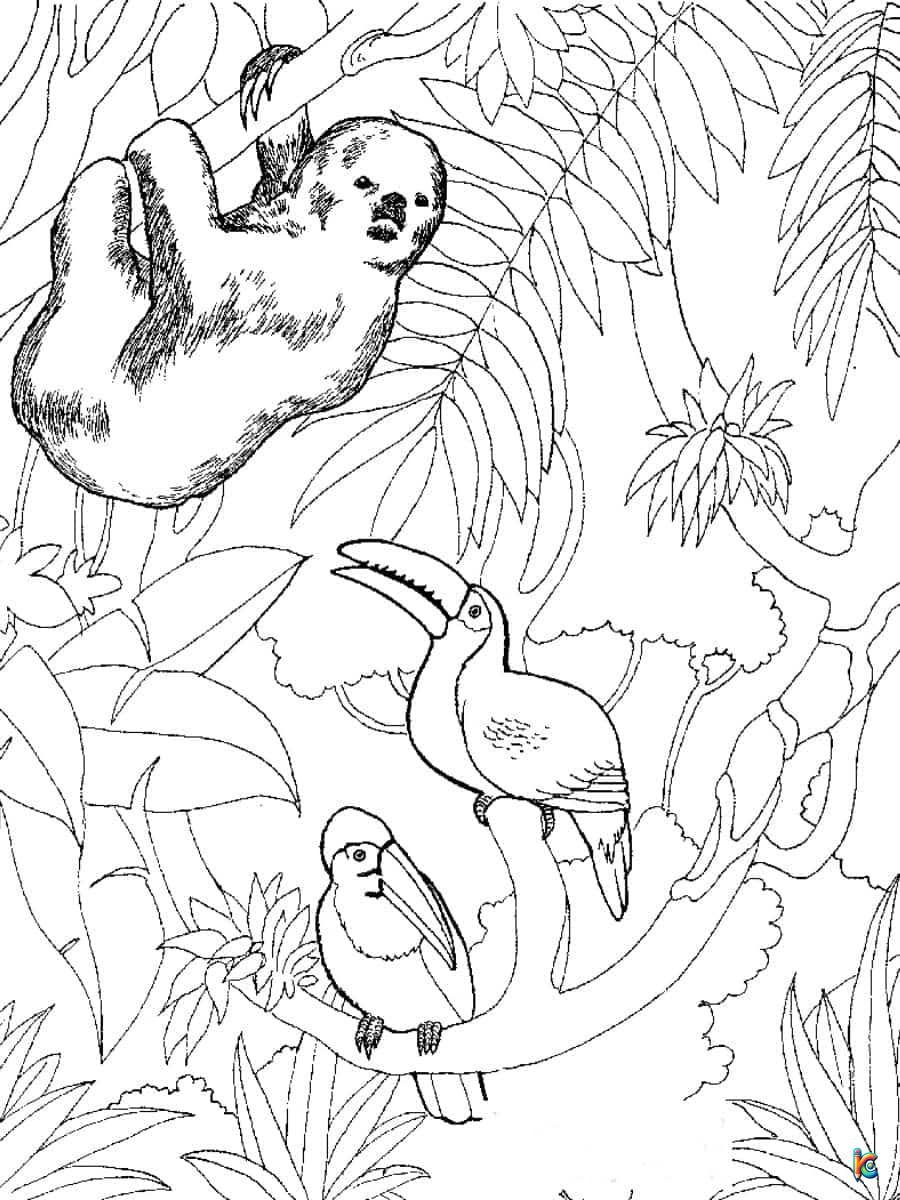 printable coloring pages zoo animals