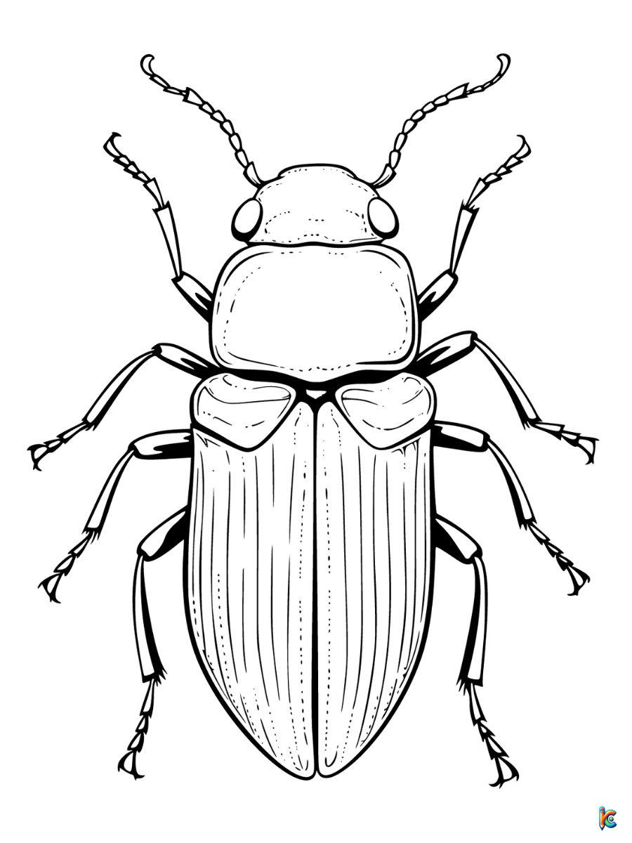 printable realistic bug coloring pages