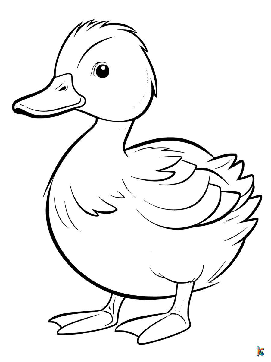 Easy and Cute Duck Coloring Pages