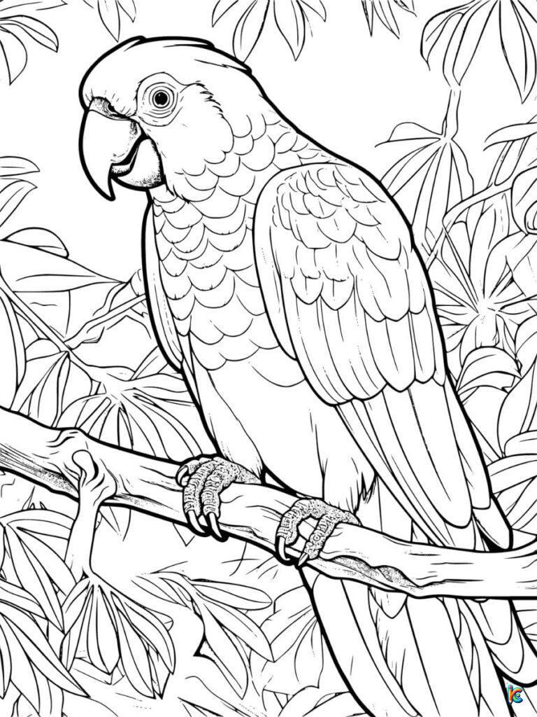 Parrot Coloring Pages – ColoringPagesKC