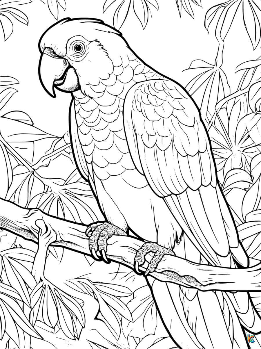 Parrot Realistic Coloring Page