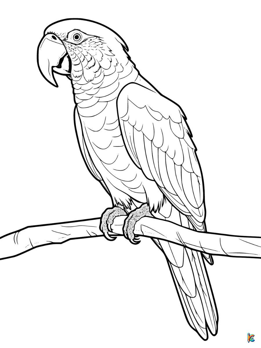 Realistic Parrot Coloring Page