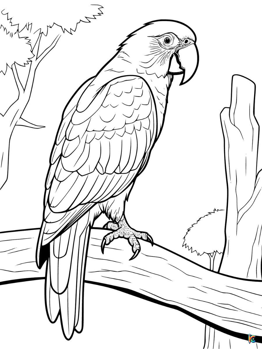 Realistic Parrot Coloring Pages free
