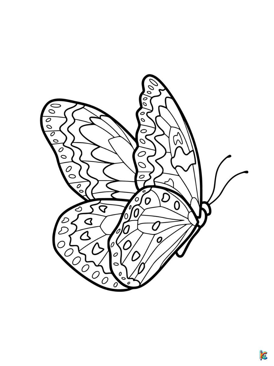 butterfly coloring page for adults