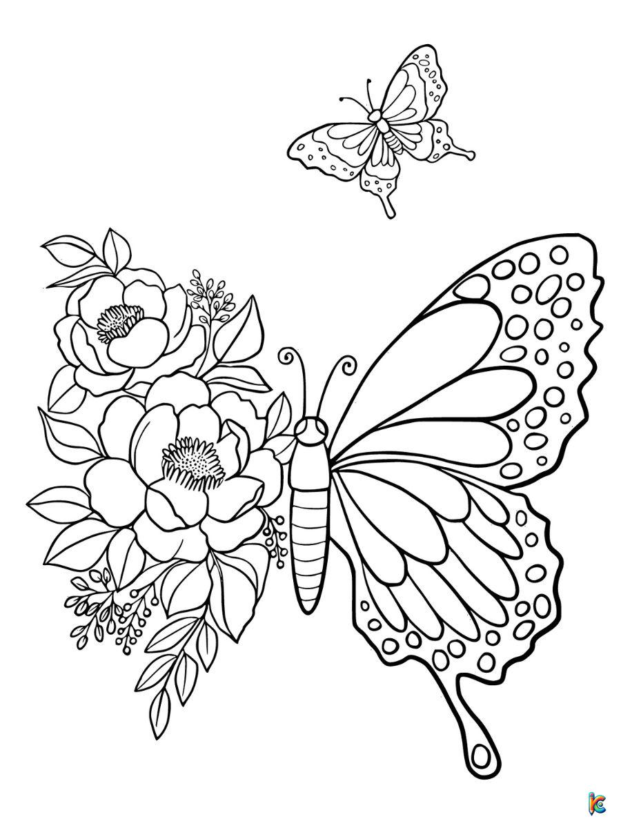 butterfly coloring page preschool