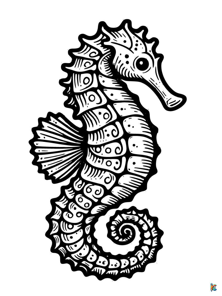 coloring page seahorse
