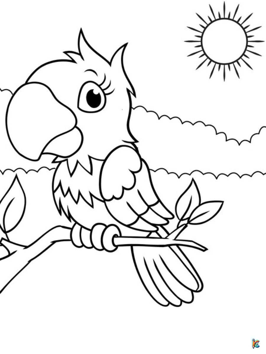 cute parrot coloring page