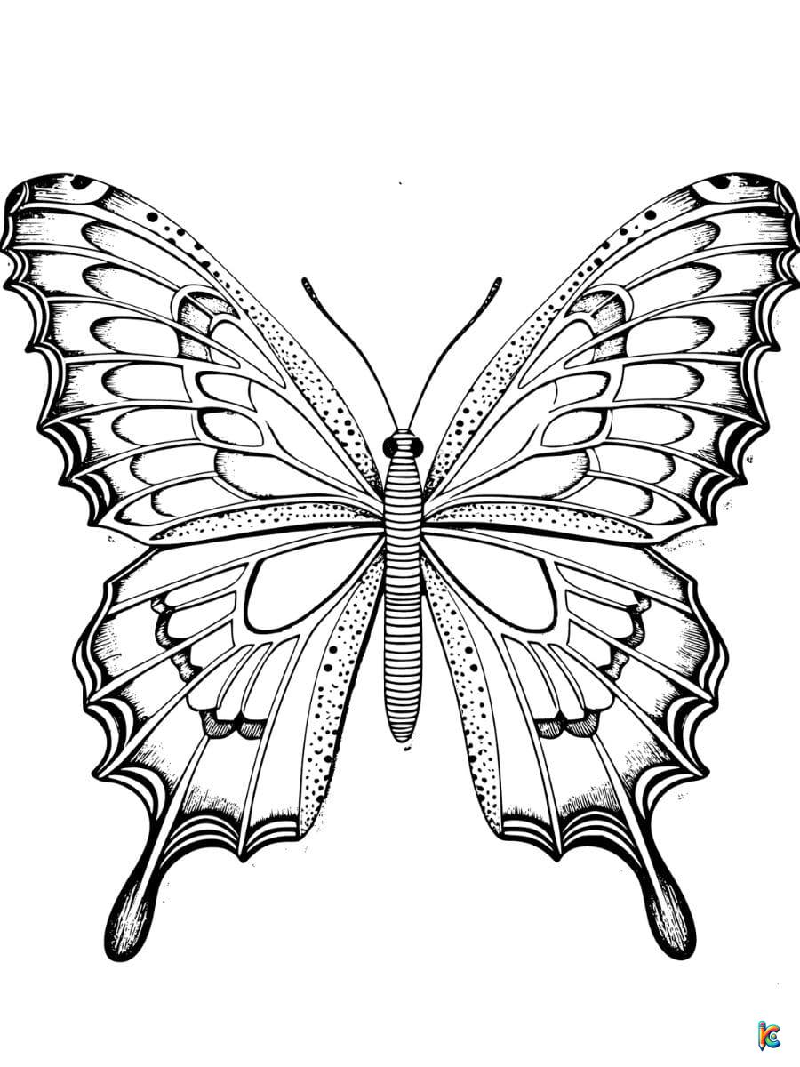 easy butterfly coloring pages
