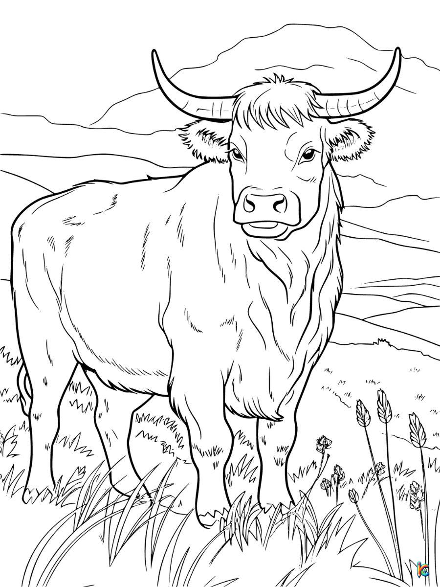 Realistic cow coloring pages for adults