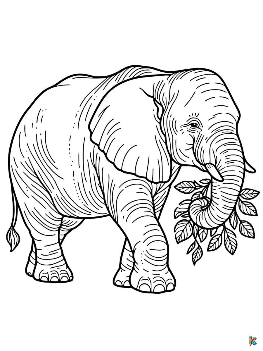 realistic elephant coloring pages